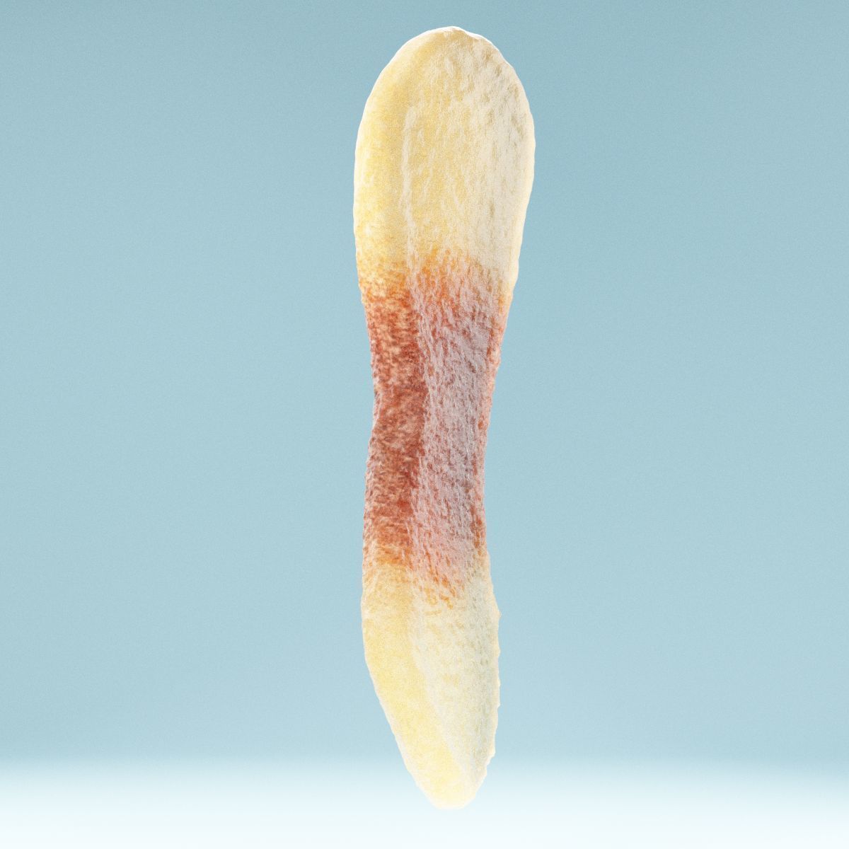 Cola Tongue Low-poly 3D model_2