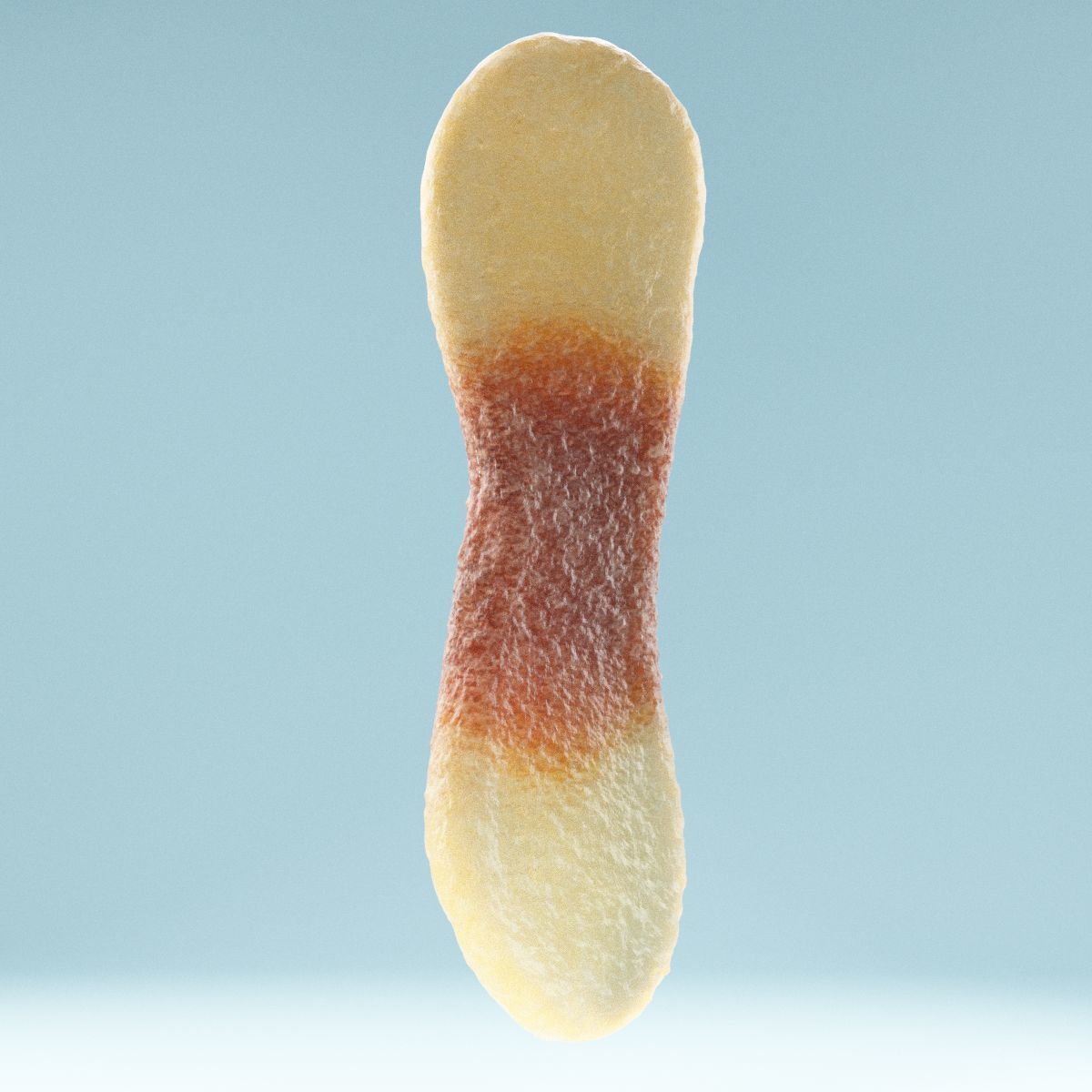 Cola Tongue Low-poly 3D model_1