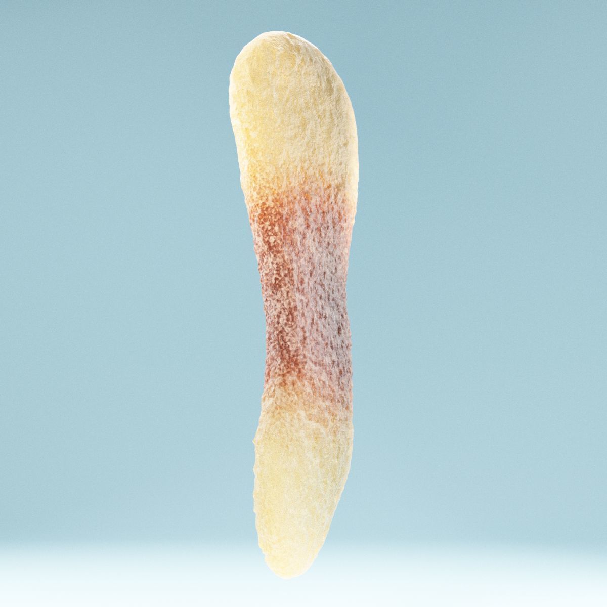 Cola Tongue Low-poly 3D model_8