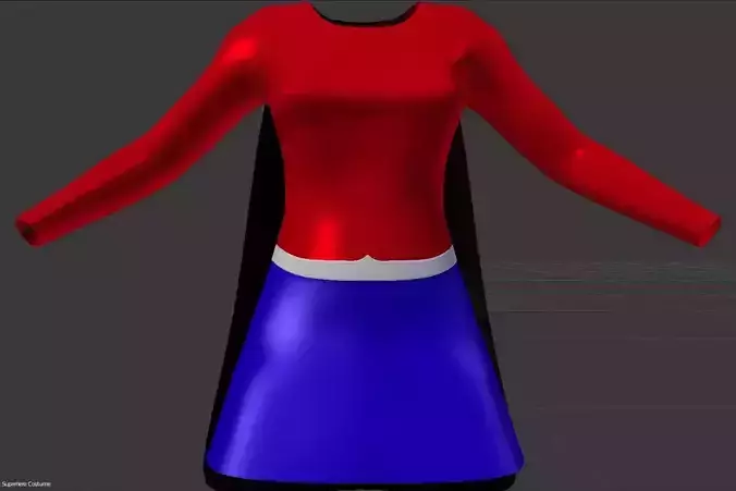 Womens Superhero Costume