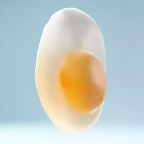 Egg Omelet