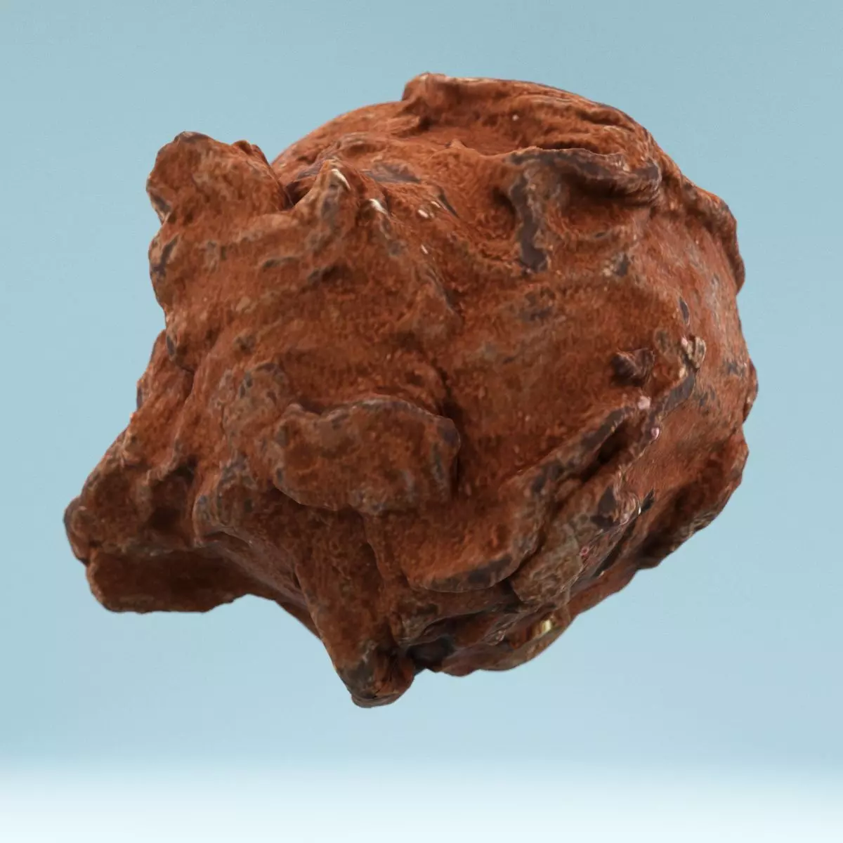 Chocolat Powder 1 Low-poly 3D model_0