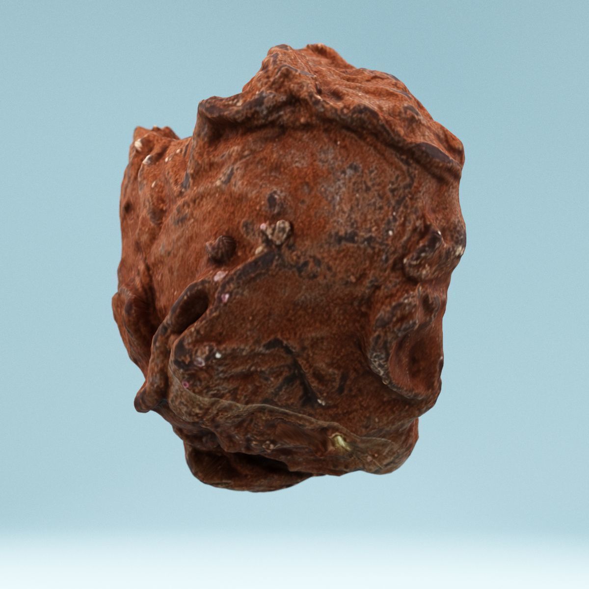 Chocolat Powder 1 Low-poly 3D model_10