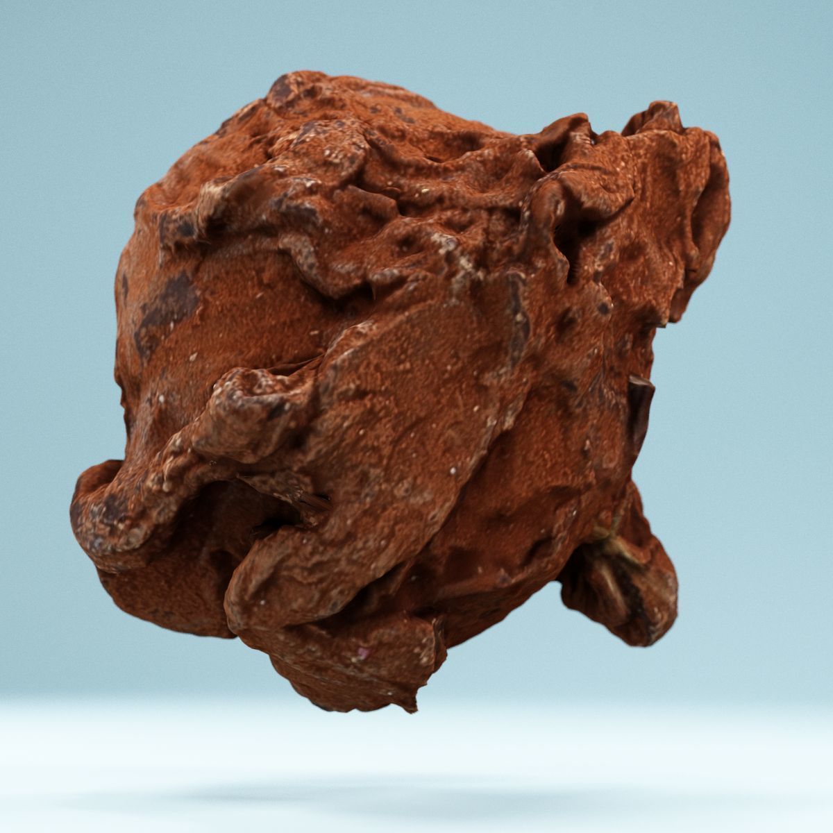 Chocolat Powder 2 Low-poly 3D model_1