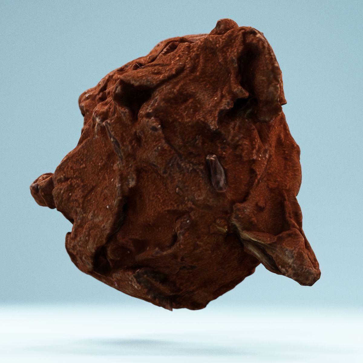 Chocolat Powder 2 Low-poly 3D model_11