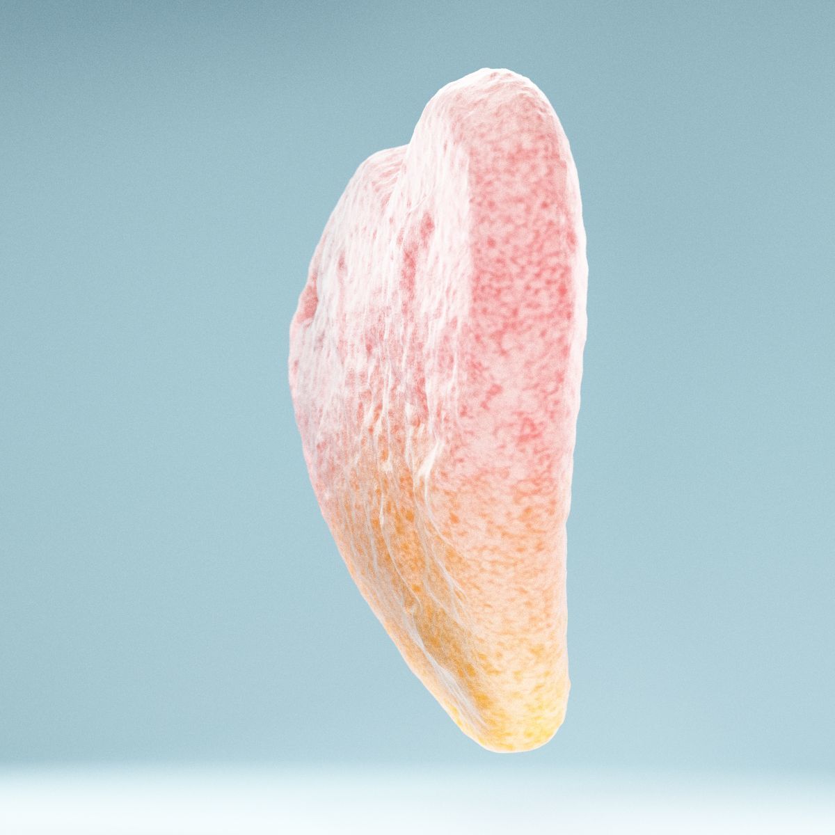 2 Color Sour Heart Low-poly 3D model_3