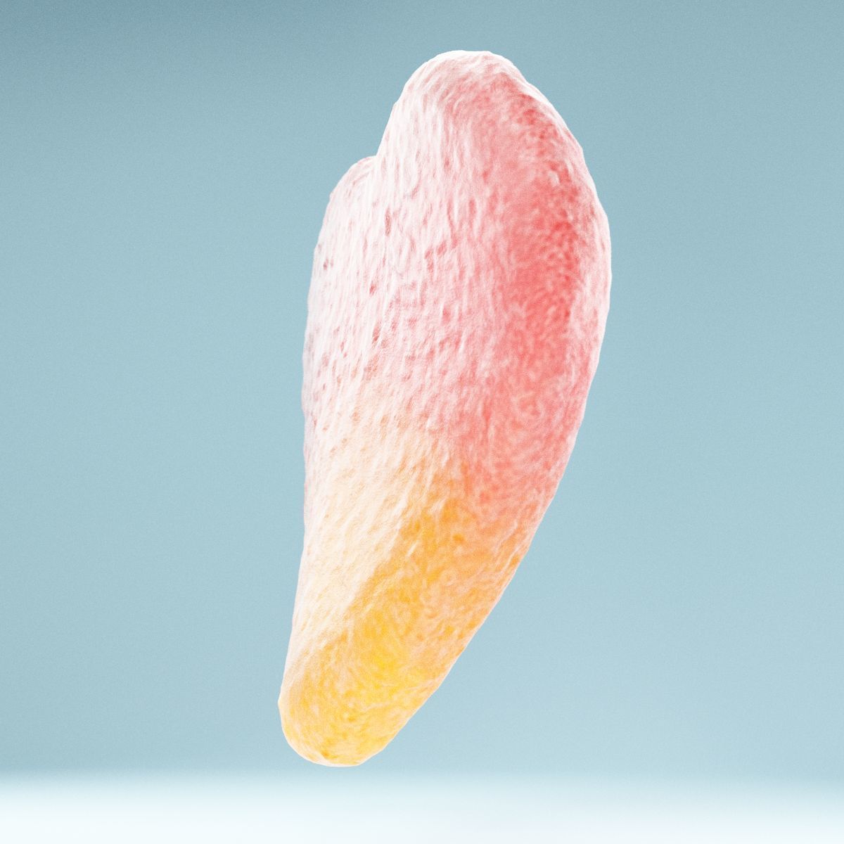 2 Color Sour Heart Low-poly 3D model_9