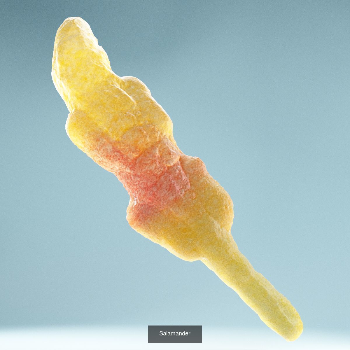 56 Piece Candy Collection _36