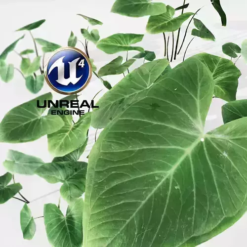 Realistic Plant 01 - UE4 Asset and FBX Files Low-poly 3D model