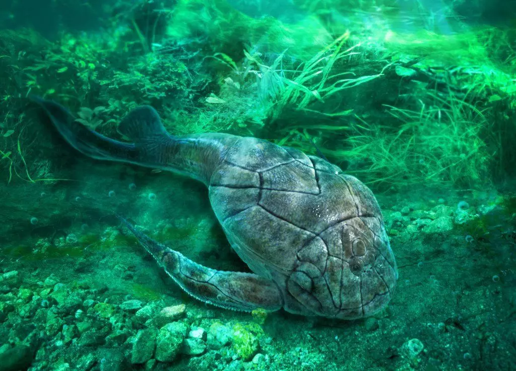 Bothriolepis canadensis Low-poly 3D model