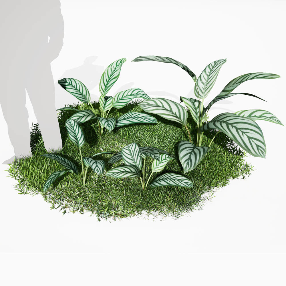 Realistic Plants 05 - UE4 Asset and FBX Files Low-poly 3D model_1