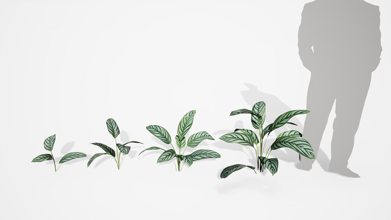 Realistic Plants 05 - UE4 Asset and FBX Files Low-poly 3D model_2