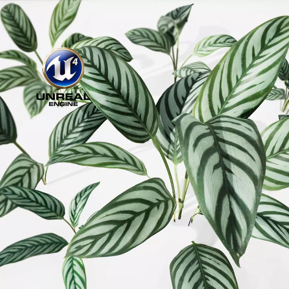 Realistic Plants 05 - UE4 Asset and FBX Files Low-poly 3D model_0