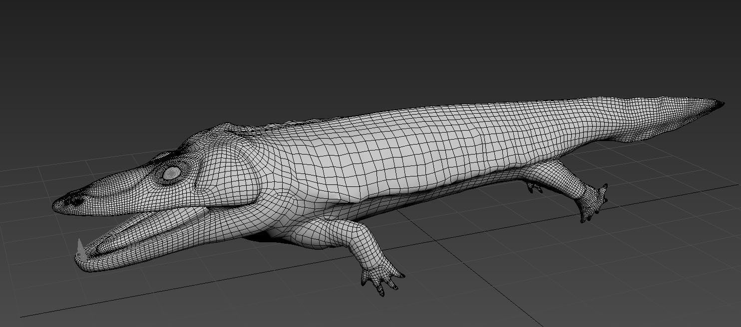 Mastodonsaurus giganteus 3D model_2