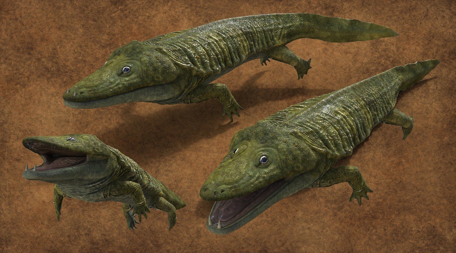 Mastodonsaurus giganteus 3D model_1