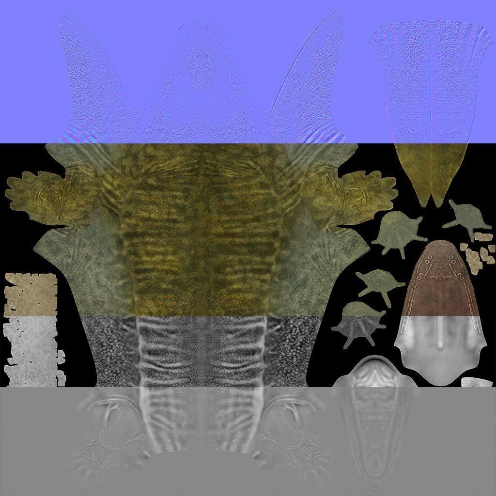 Mastodonsaurus giganteus 3D model_3