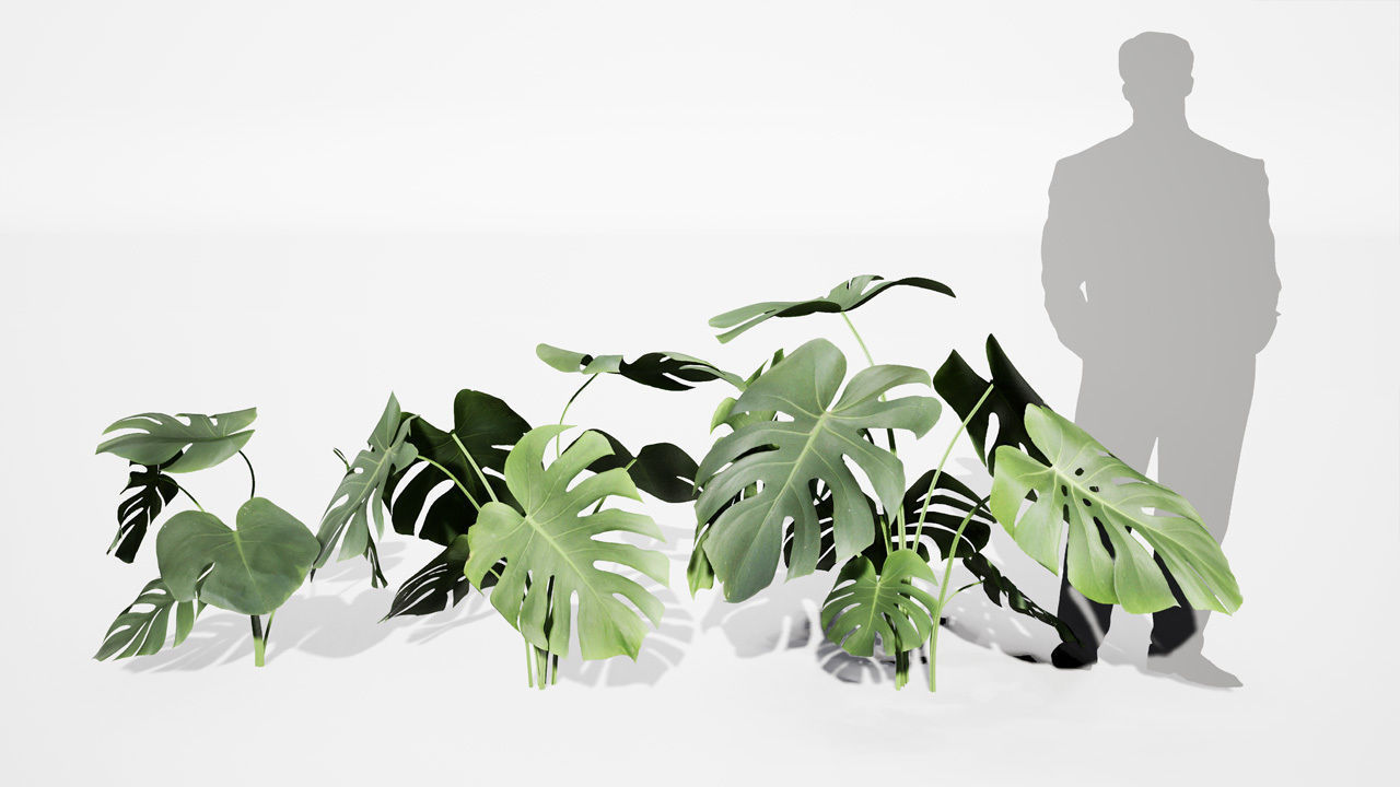 Realistic Plants 06 - UE4 Asset and FBX Files Low-poly 3D model_1
