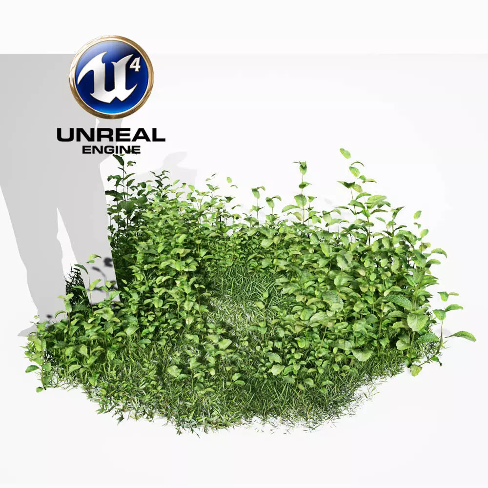 Realistic Plants 07 - UE4 Asset and FBX Files Low-poly 3D model_0