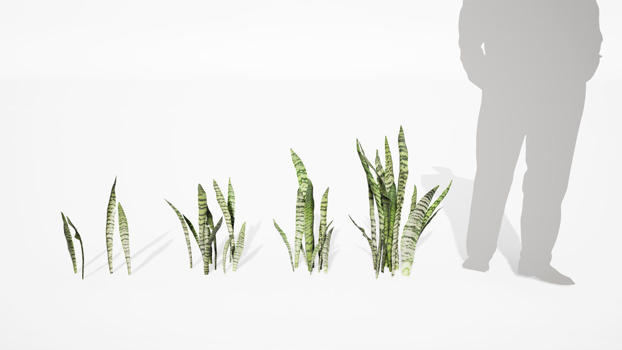 Realistic Plants 08 - UE4 Asset and FBX Files Low-poly 3D model_1
