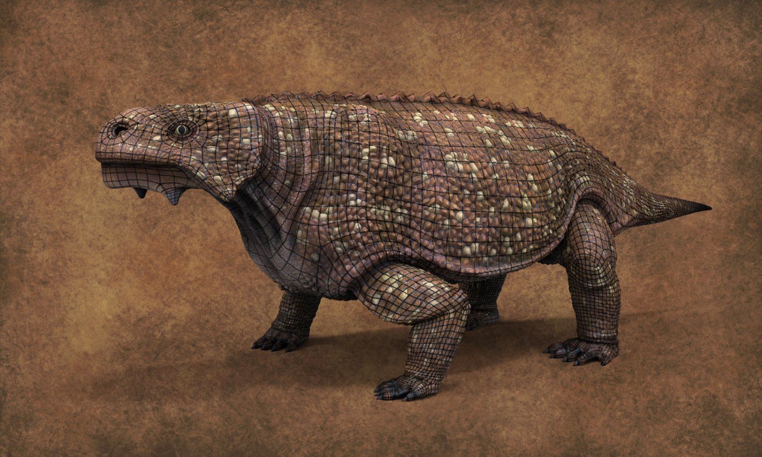 Bradysaurus baini Low-poly 3D model_2