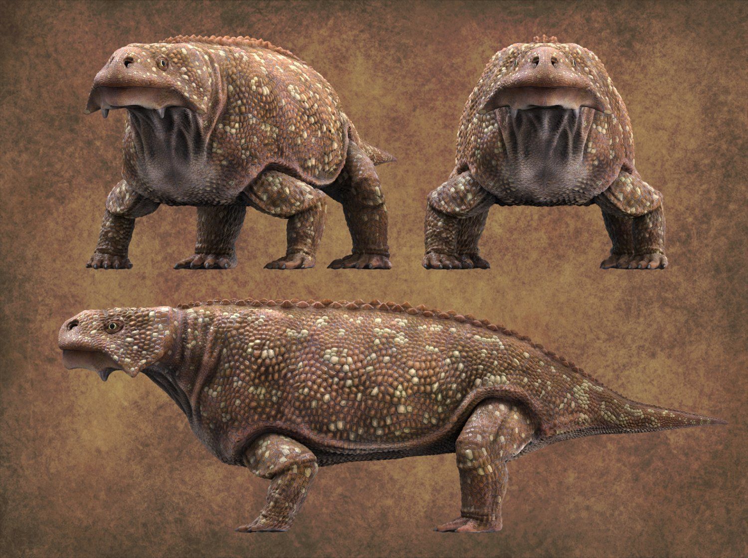 Bradysaurus baini Low-poly 3D model_3