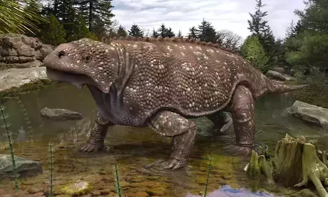 Bradysaurus baini