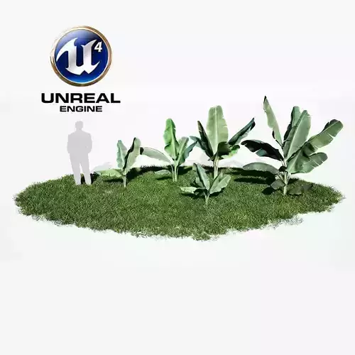 Realistic Plants 10 - UE4 Asset and FBX Files