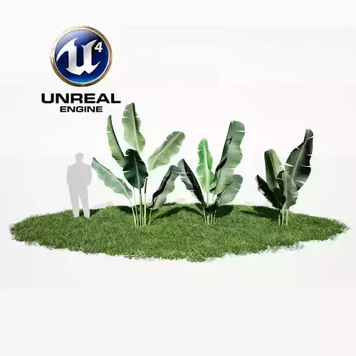 Realistic Plants 11 - UE4 Asset and FBX Files Low-poly 3D model