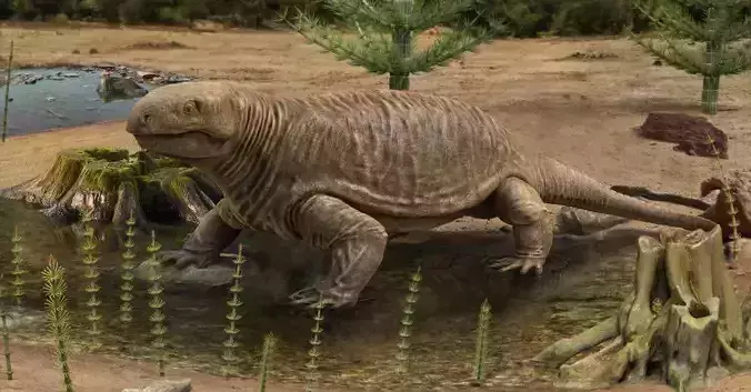 Diadectes sideropelicus