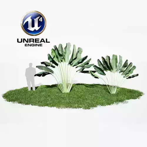Realistic Plants 12 - UE4 Asset and FBX Files