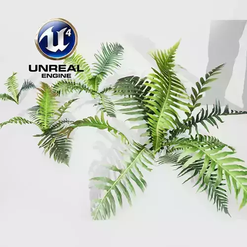 Realistic Plants 13 - UE4 Asset and FBX Files Low-poly 3D model