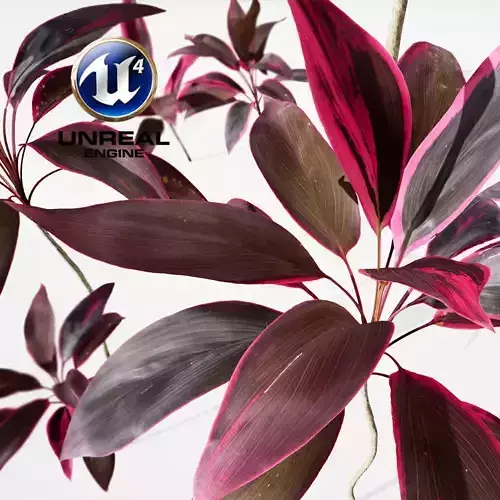 Realistic Plants 14 - UE4 Asset and FBX Files Low-poly 3D model