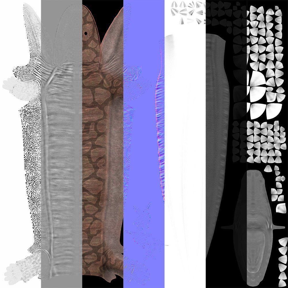 Greererpeton burkemorani Low-poly 3D model_4