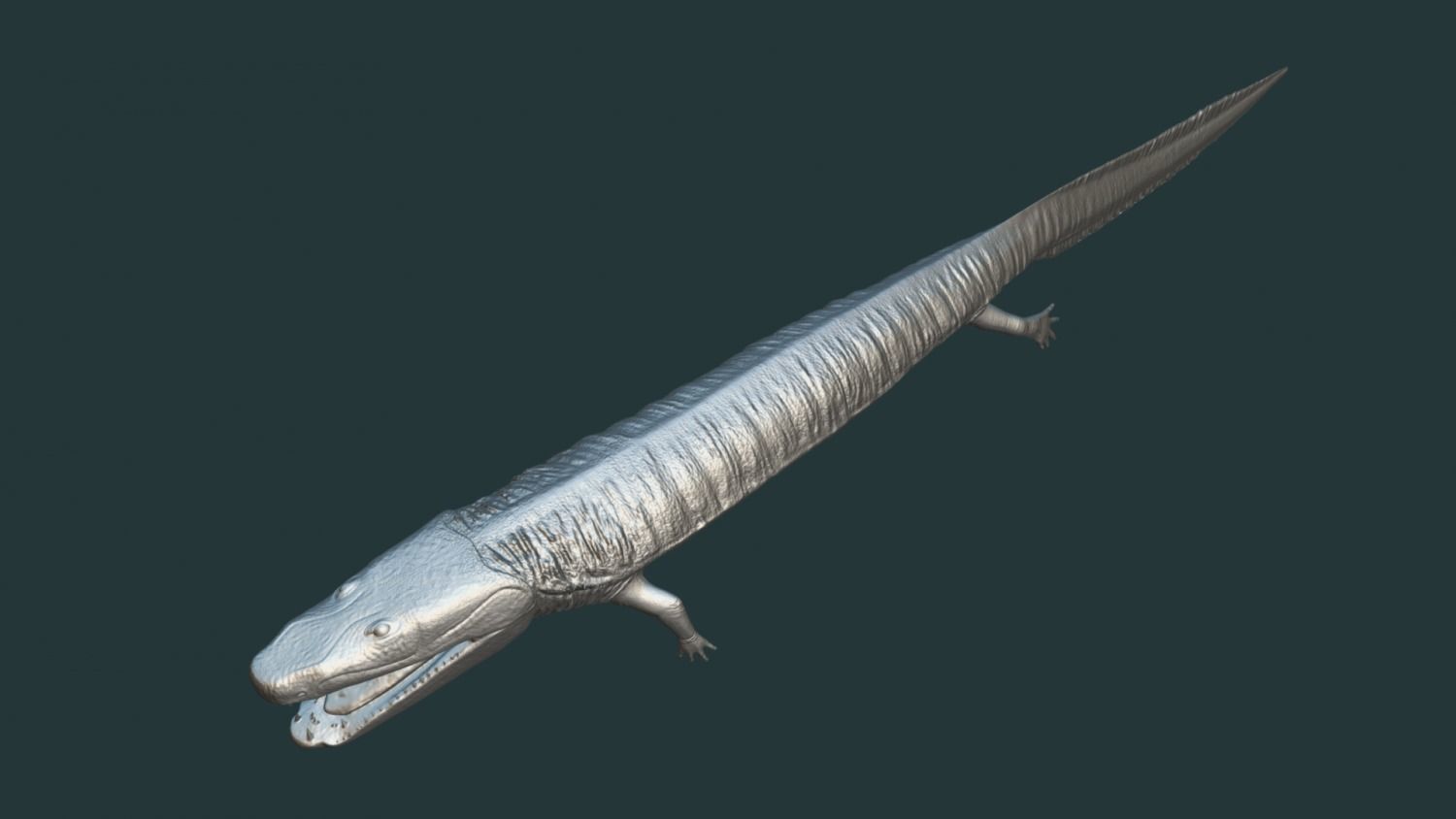 Greererpeton burkemorani Low-poly 3D model_2