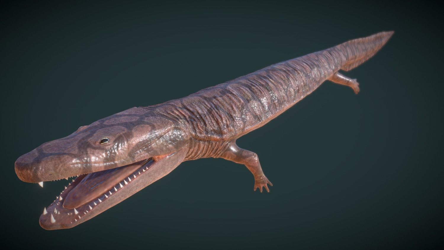 Greererpeton burkemorani Low-poly 3D model_1