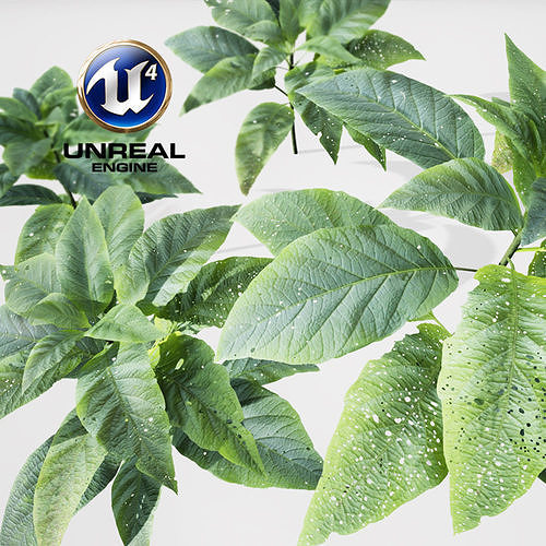 Realistic Plants 16 - UE4 Asset and FBX Files Low-poly 3D model