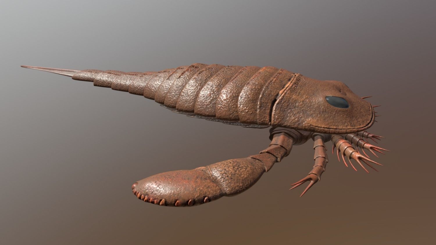 Eurypterus remipes 3D model_2