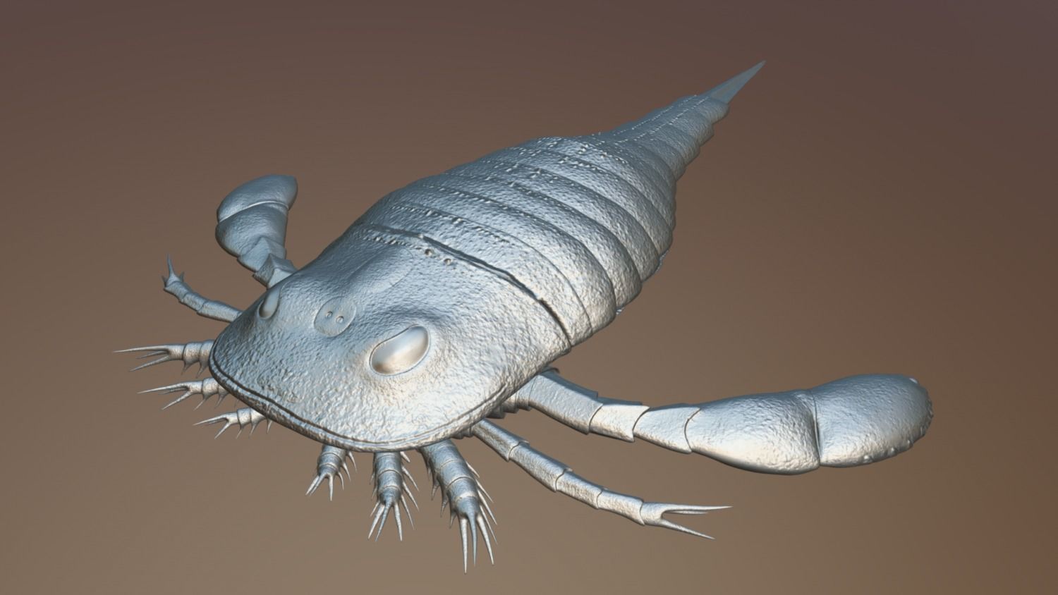 Eurypterus remipes 3D model_6
