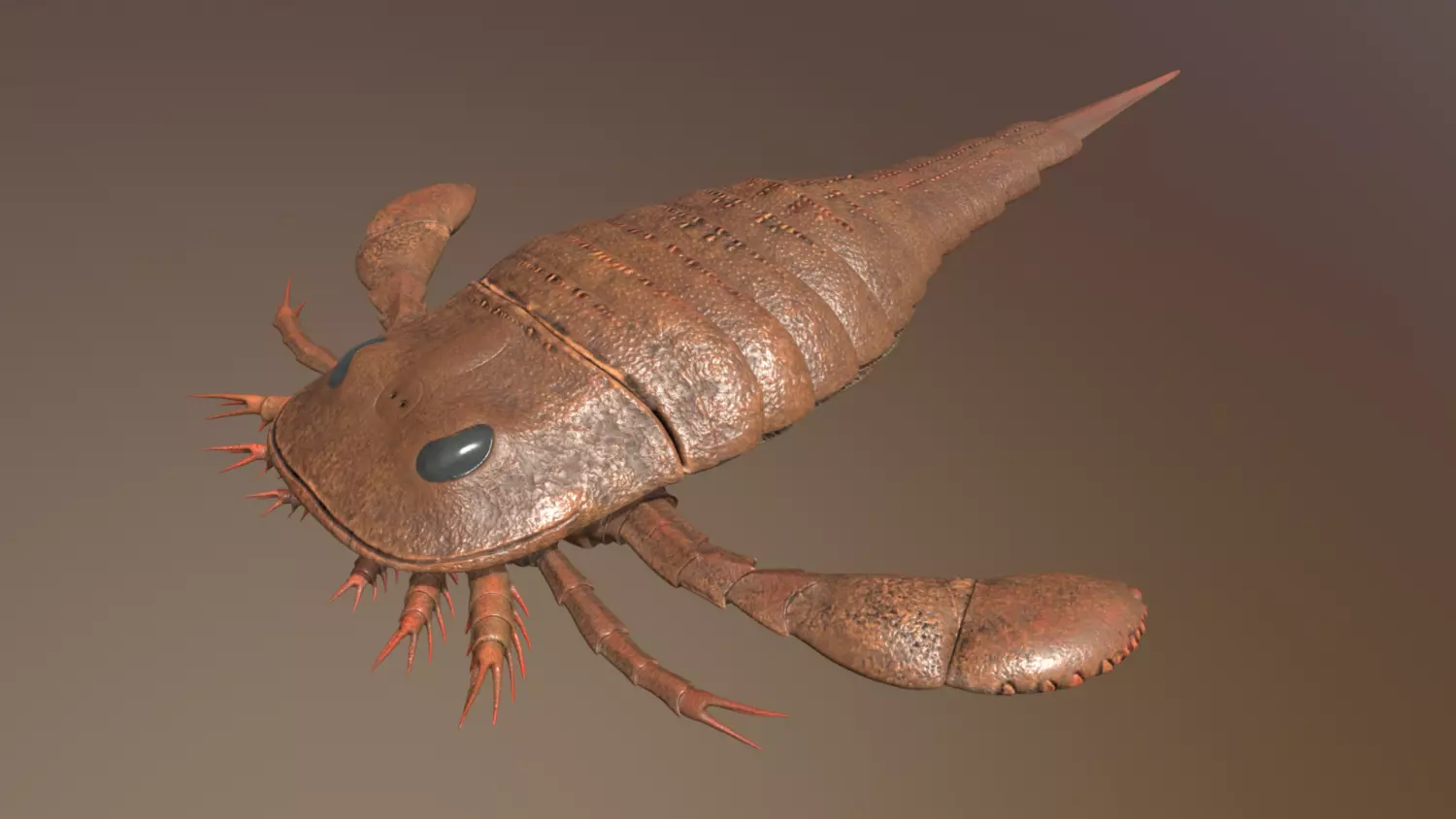 Eurypterus remipes 3D model_0