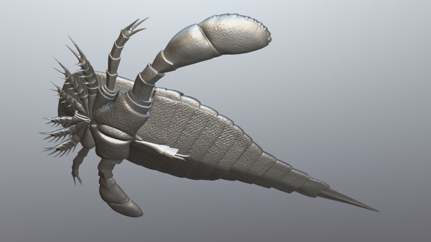 Eurypterus remipes 3D model_5