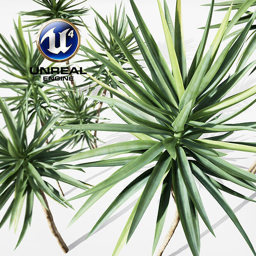 Realistic Plants 18 - UE4 Asset and FBX Files Low-poly 3D model