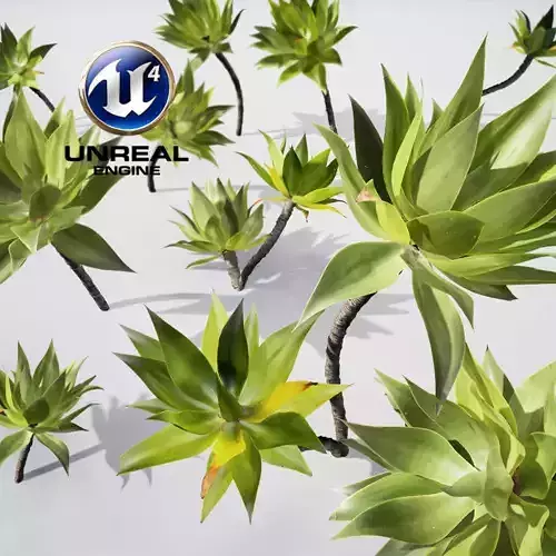 Realistic Plants 19 - UE4 Asset and FBX Files Low-poly 3D model