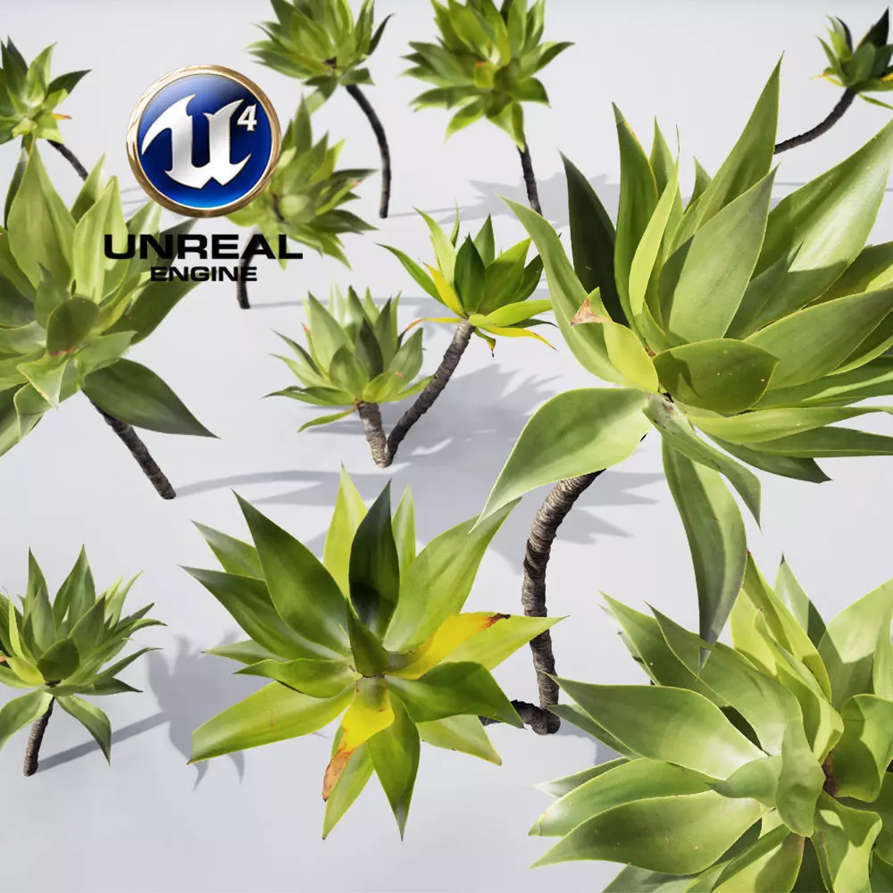 Realistic Plants 19 - UE4 Asset and FBX Files Low-poly 3D model