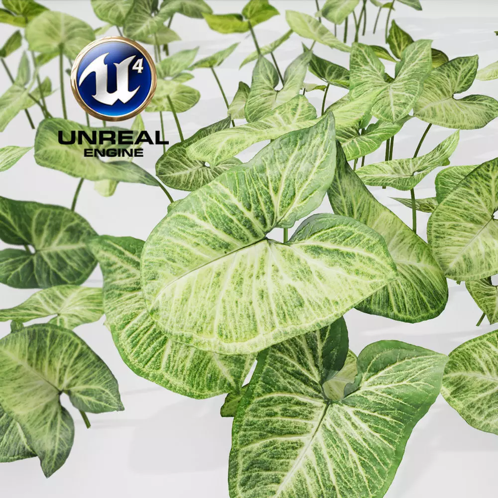 Realistic Plants 20 - UE4 Asset and FBX Files Low-poly 3D model