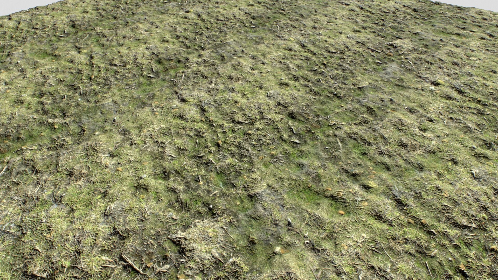 Dirty Grass Texture Set Texture_5