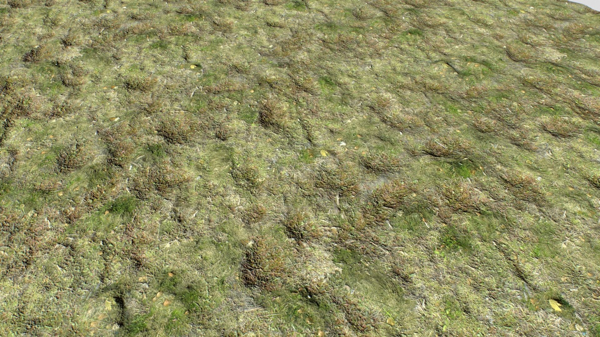 Dirty Grass Texture Set Texture_12