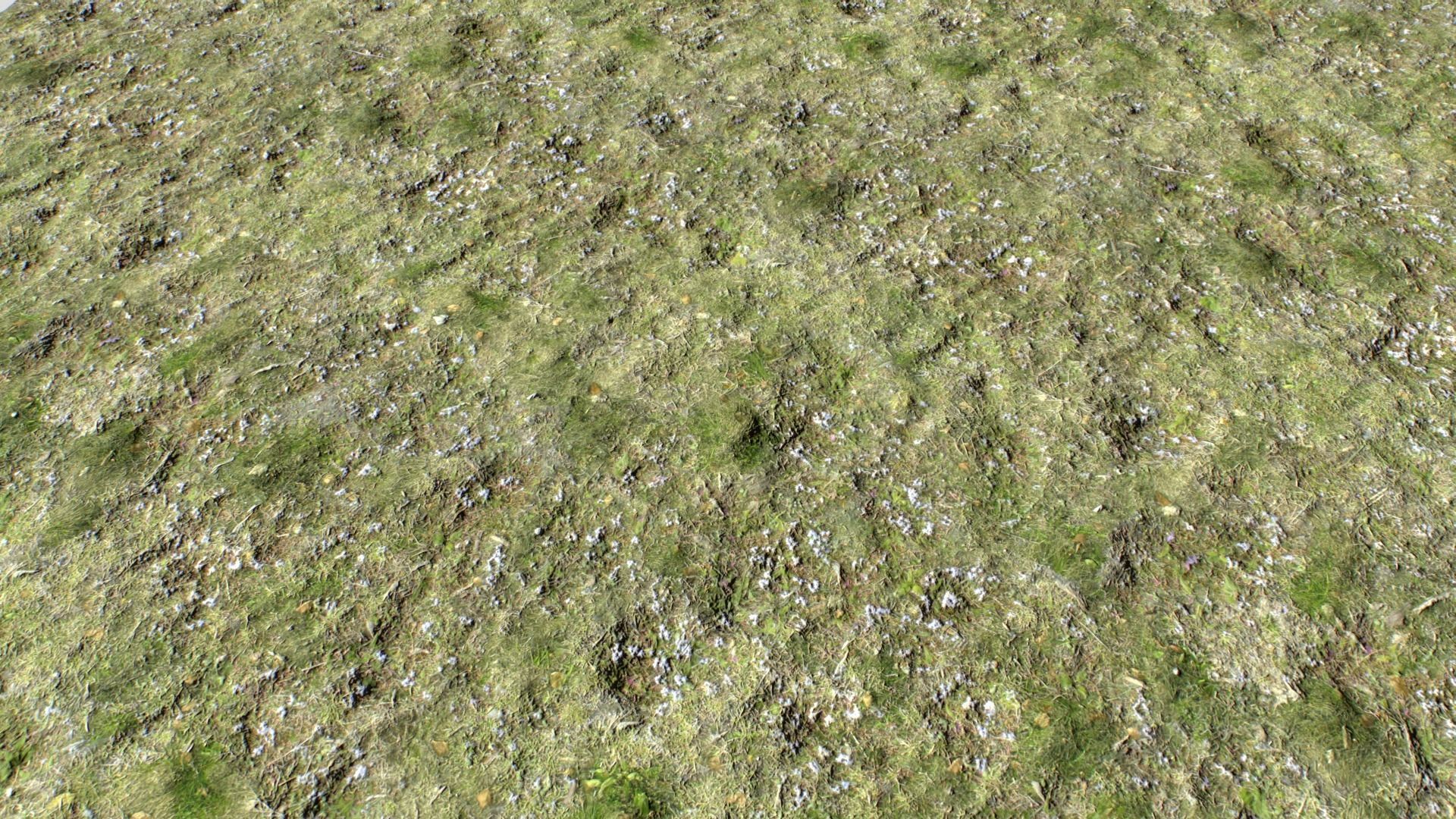 Dirty Grass Texture Set Texture_15