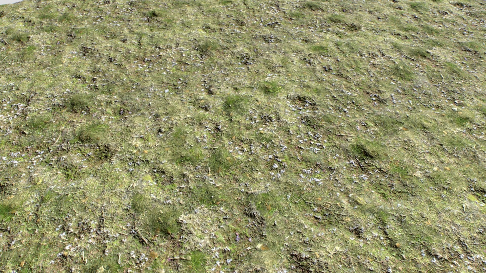 Dirty Grass Texture Set Texture_13