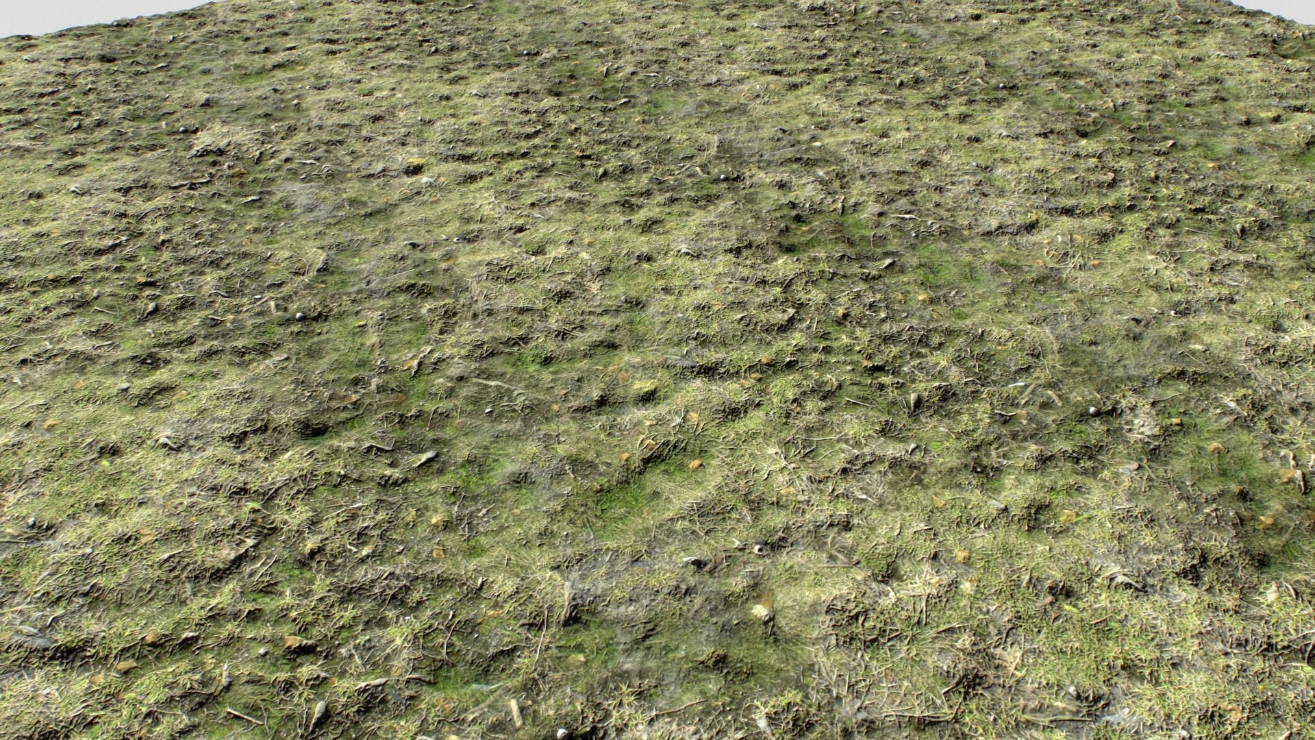 Dirty Grass Texture Set Texture_7