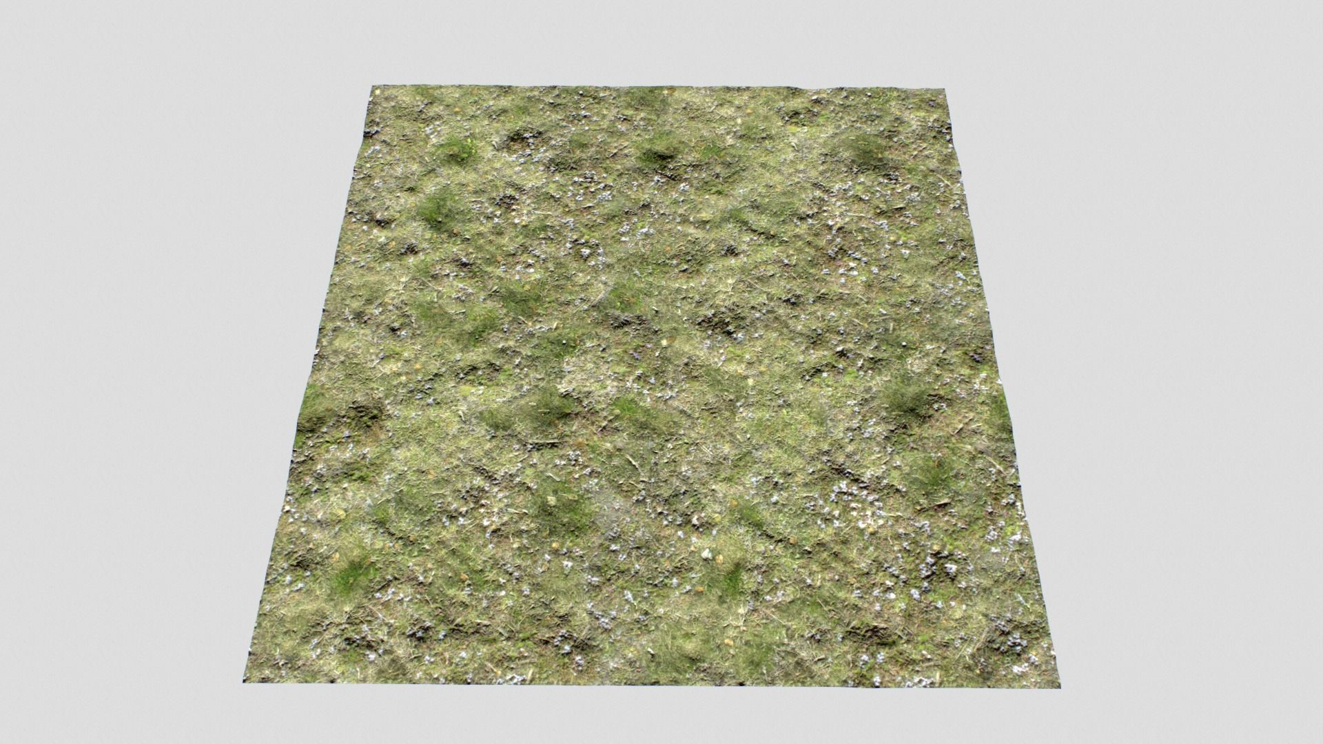 Dirty Grass Texture Set Texture_20